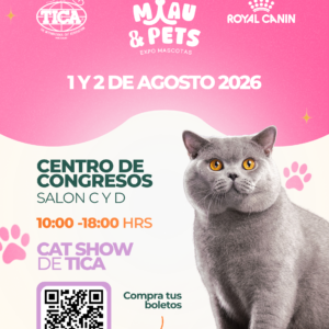 Entrada General 1 y 2 agosto
