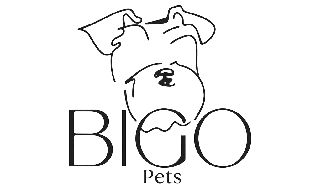 ChatGPT Image Aug 27, 2025, 09_01_30 AM